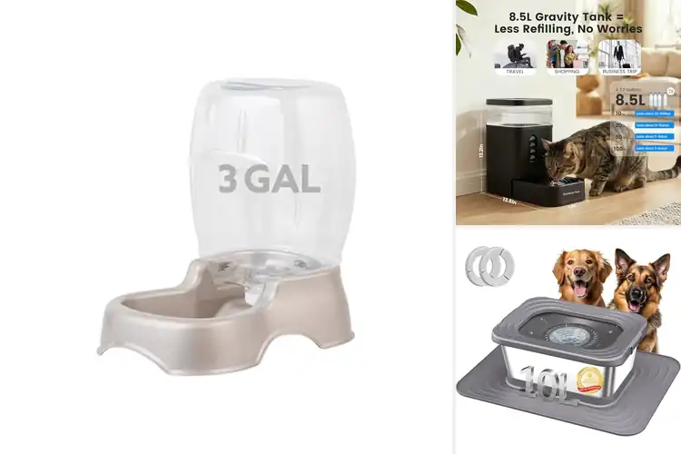 Detailed view of Best Water Freshness Dog Bowls